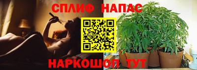 молекула духа Краснокаменск