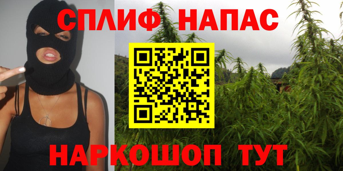 Конопля план  Марихуана план  Марихуана ГИДРОПОН  Дубна  Вход с VPN 